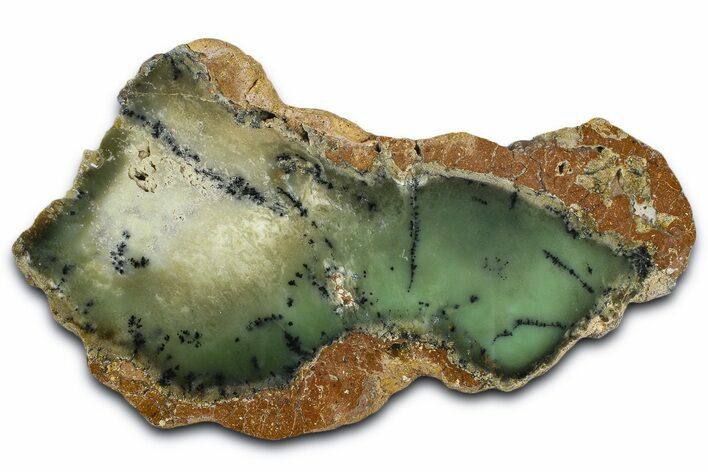 Polished Dendritic Chrysoprase Slab - Western Australia #364236
